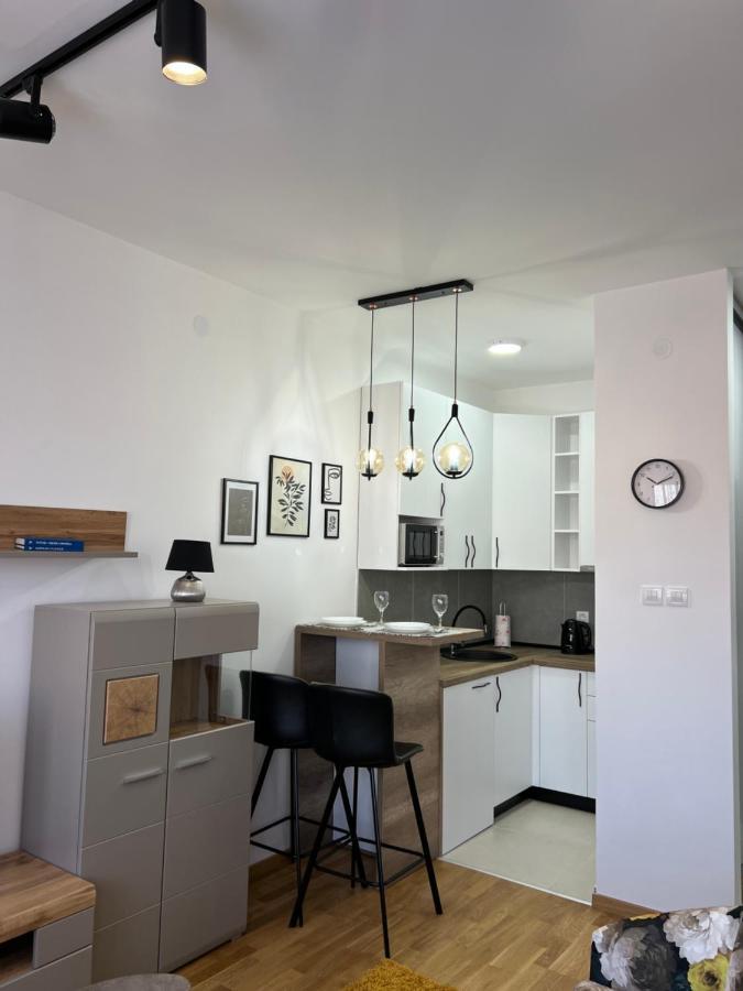 Apartment Charlie Private Parking نوفي ساد المظهر الخارجي الصورة
