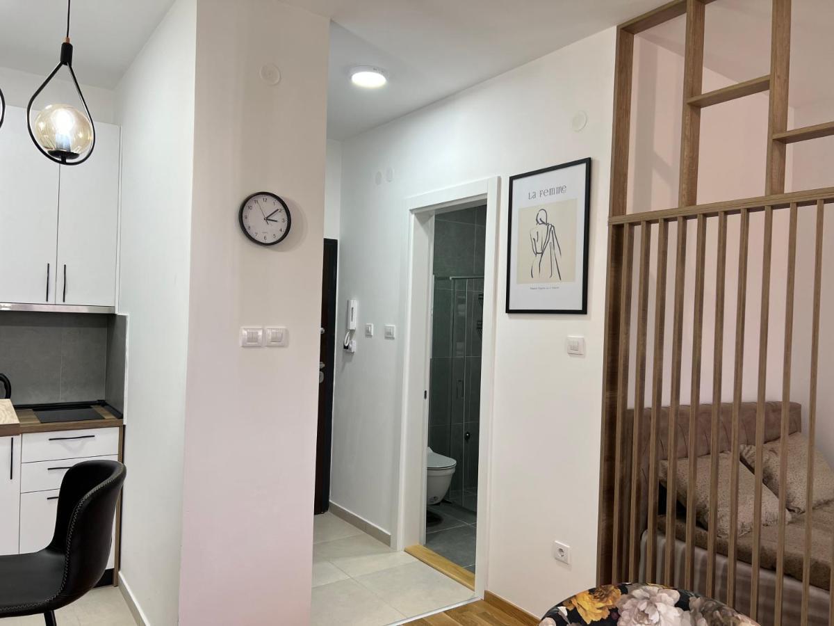 Apartment Charlie Private Parking نوفي ساد المظهر الخارجي الصورة