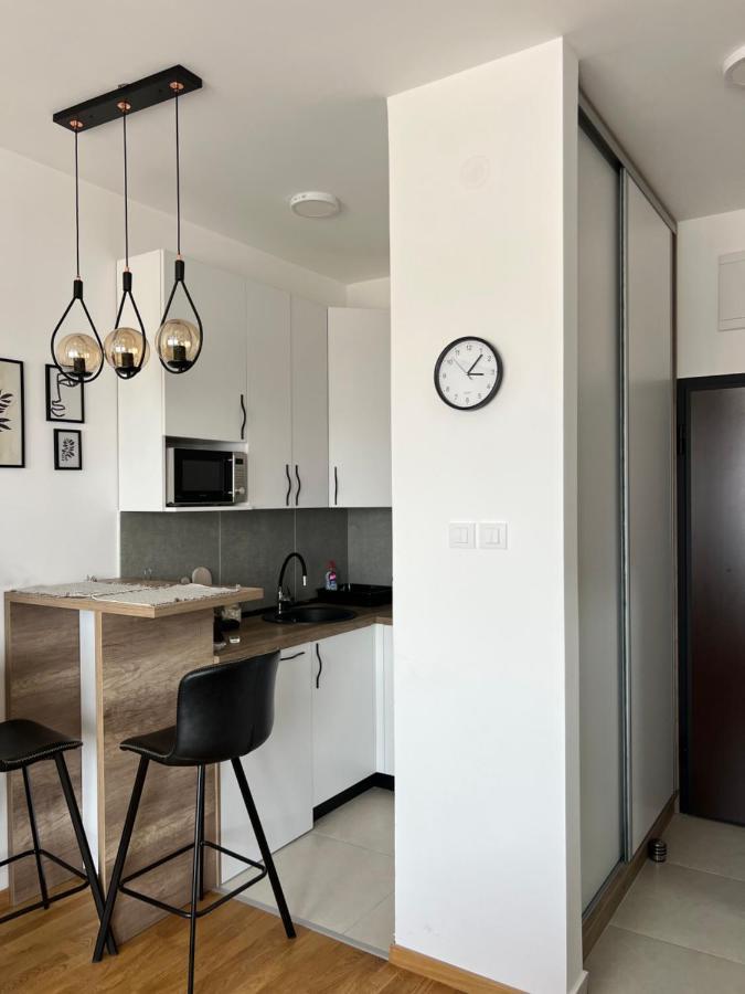 Apartment Charlie Private Parking نوفي ساد المظهر الخارجي الصورة